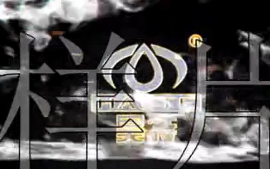 CCTVӹ